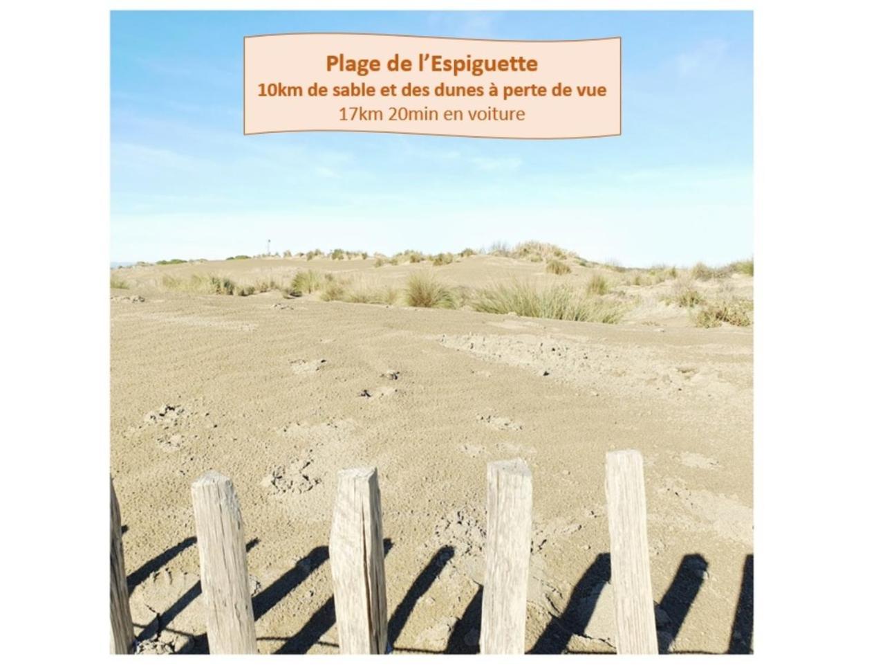 לה גרנד מוט T2 Traversant Familial Cap Sud Parking Plages - Rossiconciergerie - Linge En Option מראה חיצוני תמונה